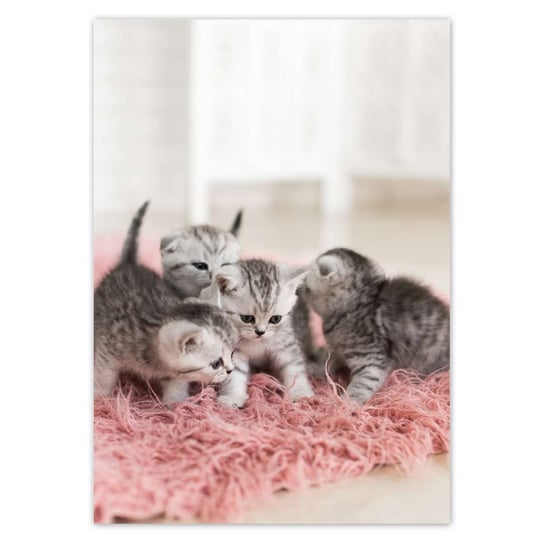 Plakat A2 PION Pięć małych kotków ZeSmakiem