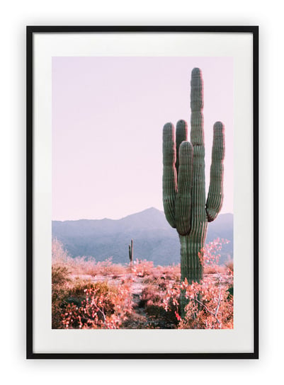 Plakat A3 30x42 cm Kaktus Natura Zieleń     WZORY Printonia