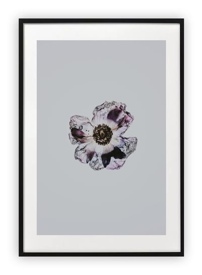 Plakat A3 30x42 cm Kwiat Sztuka Rysunek WZORY Printonia
