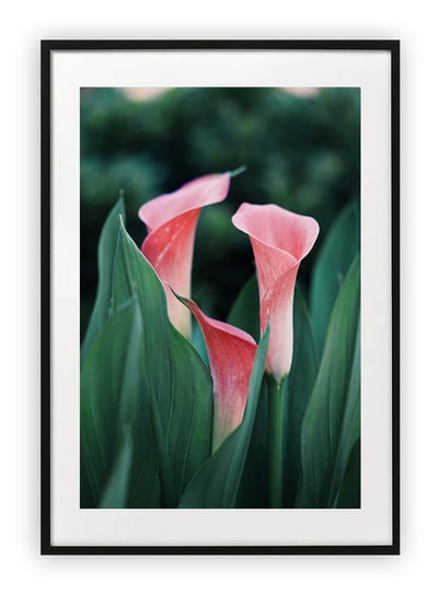 Plakat A3 30x42 cm Kwiat Wiosna Roślina WZORY Printonia