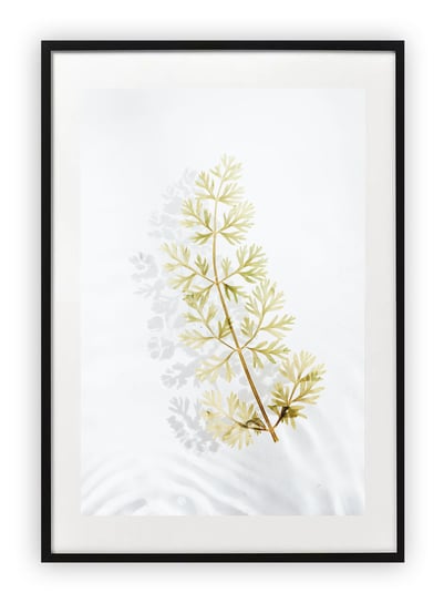 Plakat A3 30x42 cm Kwiaty Rośliny Natura Zieleń WZORY Printonia