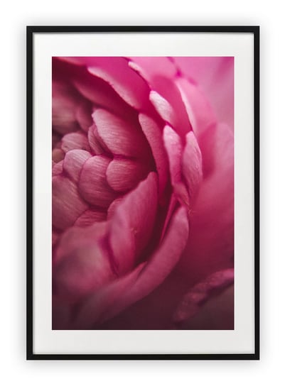 Plakat A3 30x42 cm Kwiaty Róż Rośliny WZORY Printonia