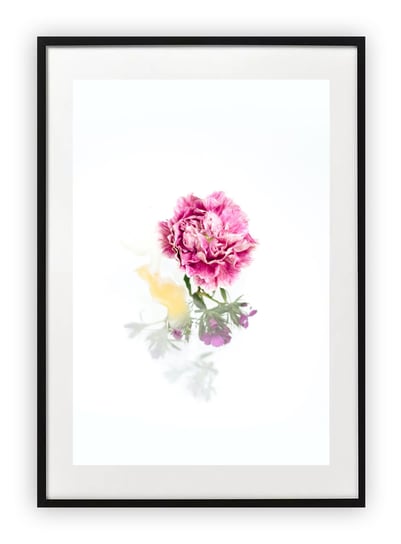Plakat A3 30x42 cm Roślina  Kwiat Róż  WZORY Printonia