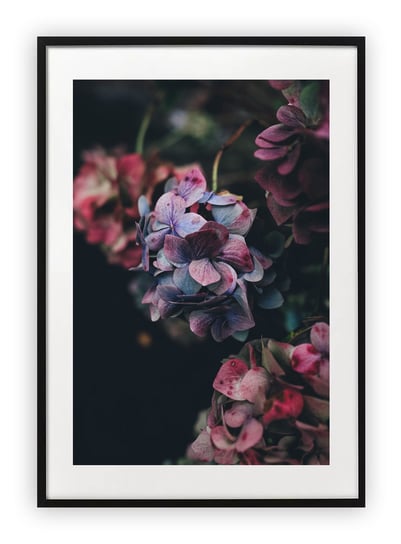 Plakat A3 30x42 cm Roślina Kwiat Zbliżenie WZORY Printonia