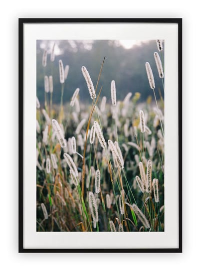 Plakat A3 30x42 cm Roślina Natura Zieleń WZORY Printonia