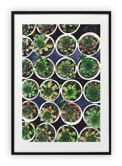 Plakat A3 30x42 cm Rośliny Natura Zieleń Dom WZORY Printonia