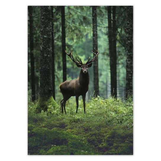 Plakat A3 PION Jeleń w lesie ZeSmakiem