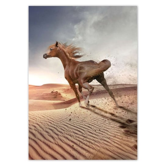 Plakat A3 PION Koń galopujący przez pustynię ZeSmakiem