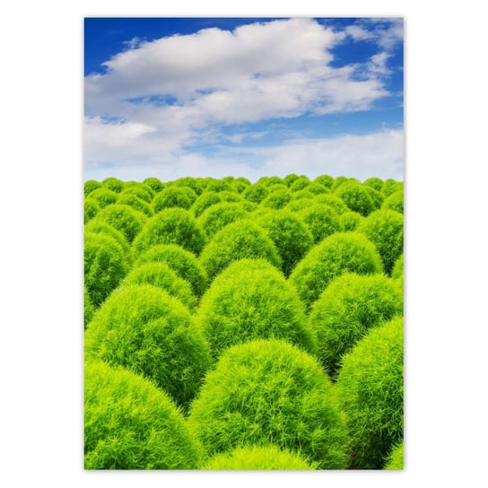 Plakat A3 PION Zielone spojrzenie Dolina ZeSmakiem