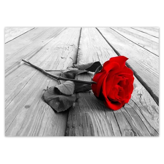 Plakat A3 POZIOM Czerwona róża na deskach ZeSmakiem