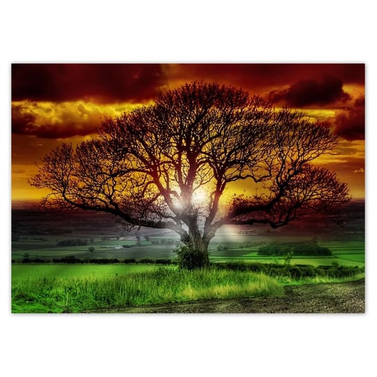 Plakat A3 POZIOM Magiczne drzewo krajobraz ZeSmakiem