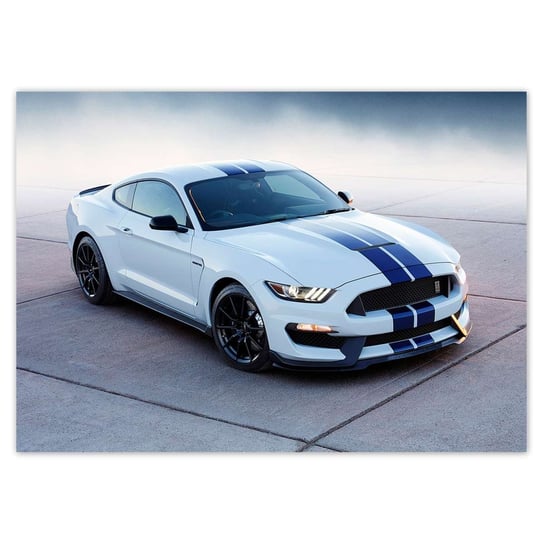 Plakat A3 POZIOM Mustang Shelby Ford USA ZeSmakiem