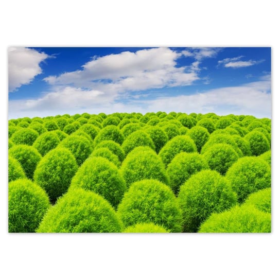 Plakat A3 POZIOM Zielone spojrzenie Dolina ZeSmakiem