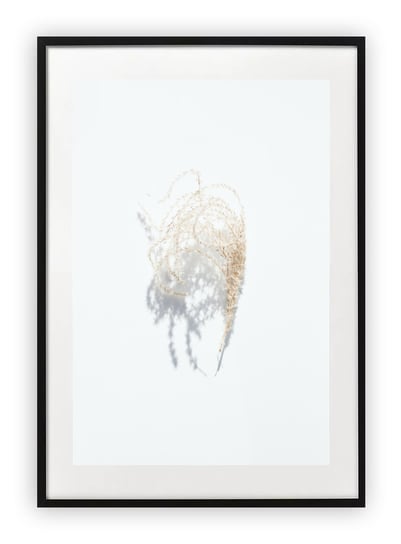 Plakat A4 21x30 cm  Biel Kwiat Roślinność WZORY Printonia