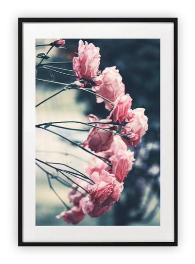 Plakat A4 21x30 cm  Floral Kwiaty Róż WZORY Printonia