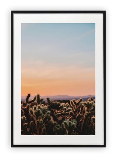 Plakat A4 21x30 cm  Kaktus Natura Zieleń Słońce WZORY Printonia