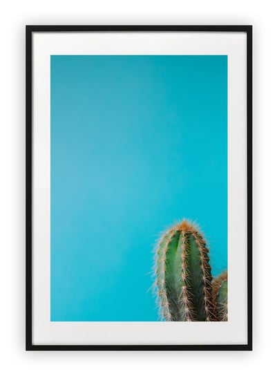 Plakat A4 21x30 cm  Kaktus Natura Zieleń Tło WZORY Printonia