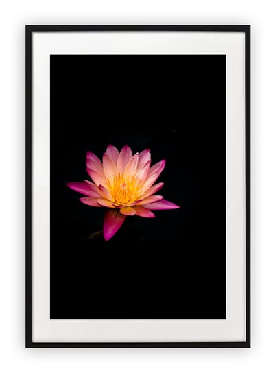 Plakat A4 21x30 cm  Kwiat Wiosna Roślinność   WZORY Printonia