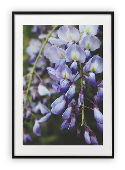 Plakat A4 21x30 cm  Kwiatki rosliny  WZORY Printonia