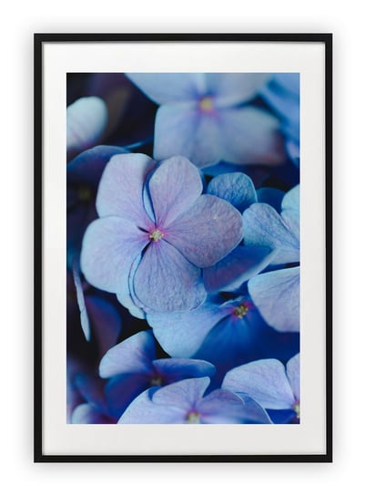 Plakat A4 21x30 cm  Kwiaty Błękit WZORY Printonia