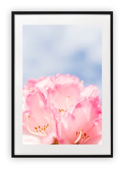 Plakat A4 21x30 cm  Kwiaty Makro Wiosna WZORY Printonia