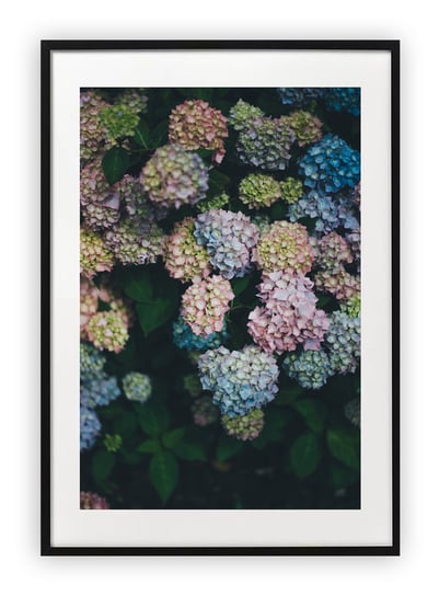 Plakat A4 21x30 cm  Kwiaty Ogród Rośliny WZORY Printonia