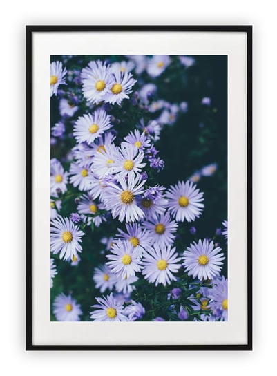 Plakat A4 21x30 cm  Kwiaty Rośliny (2) WZORY Printonia