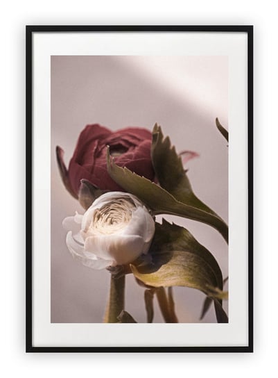Plakat A4 21x30 cm  Kwiaty Rośliny WZORY Printonia