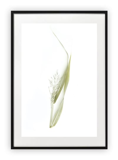 Plakat A4 21x30 cm  Kwiaty Rośliny Zieleń Natura    WZORY Printonia