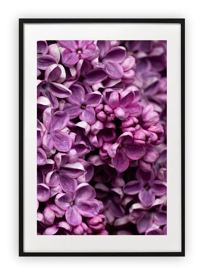 Plakat A4 21x30 cm  Kwiaty Róż Wiosna WZORY Printonia
