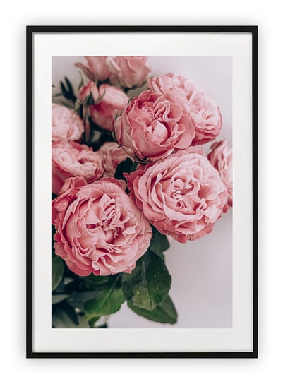 Plakat A4 21x30 cm  Kwiaty rózowe flowers WZORY Printonia