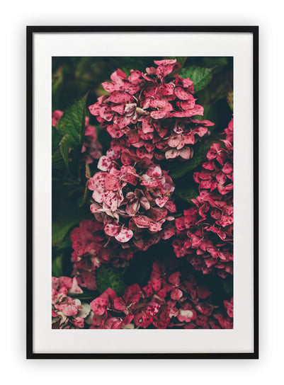 Plakat A4 21x30 cm  Kwiaty Wiosna Lato WZORY Printonia