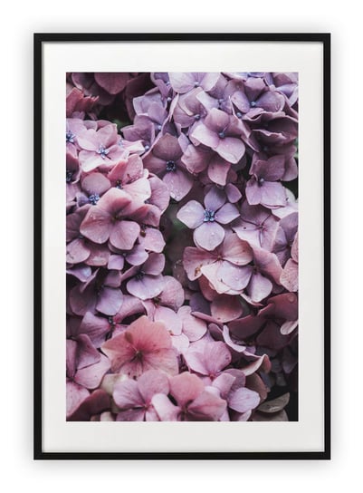 Plakat A4 21x30 cm  Kwiaty Wiosna Natura WZORY Printonia