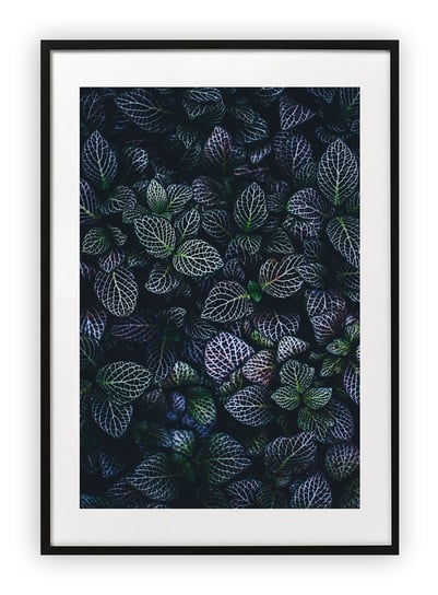 Plakat A4 21x30 cm  Liście listki zielone rośliny WZORY Printonia