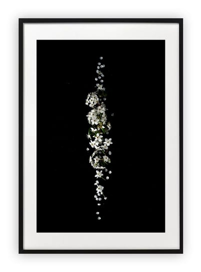 Plakat A4 21x30 cm  Roślina Biel Natura WZORY Printonia