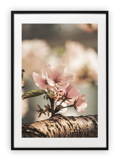 Plakat A4 21x30 cm  Roślina Kwiaty Drzewo WZORY Printonia
