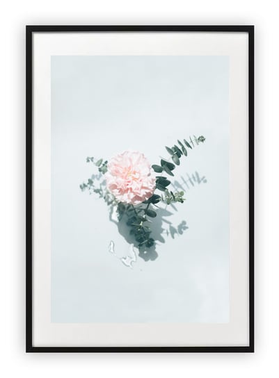 Plakat A4 21x30 cm  Roślina Zieleń Kwiaty WZORY Printonia