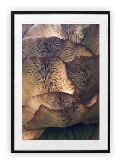 Plakat A4 21x30 cm  Roślinność Drzewo WZORY Printonia