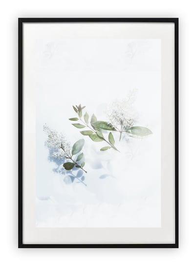 Plakat A4 21x30 cm  Rośliny Natura Kwiaty WZORY Printonia