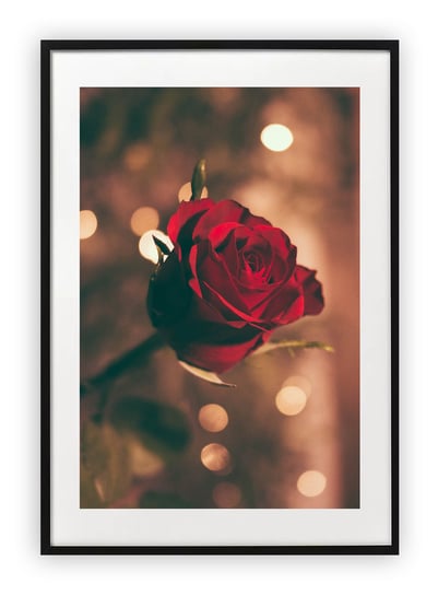Plakat A4 21x30 cm  Róża Kwiat Roślina Wiosna WZORY Printonia