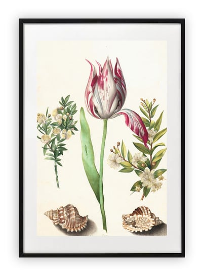 Plakat A4 21x30 cm  Rysunek Kwiat Roślinność WZORY Printonia