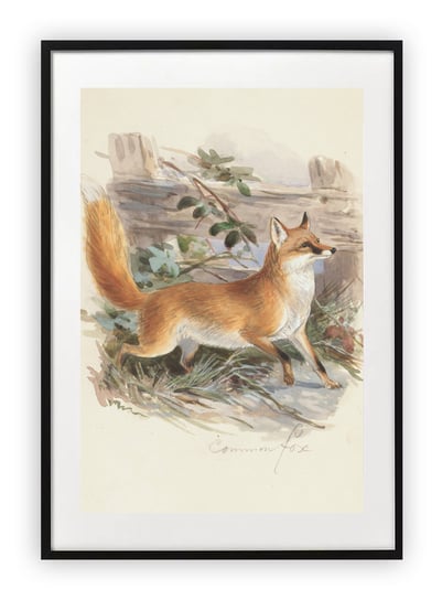 Plakat A4 21x30 cm  Szkic Lis na polu WZORY Printonia