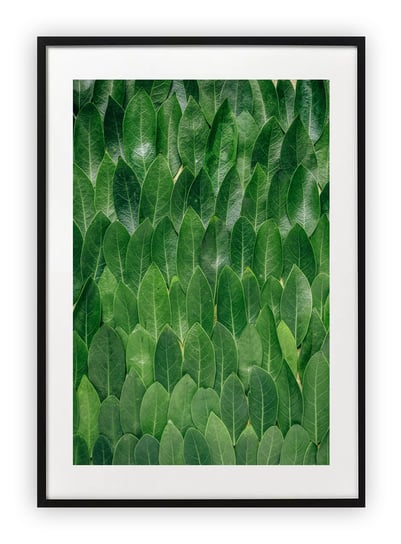 Plakat A4 21x30 cm  Tekstura LIście Roślinność WZORY Printonia