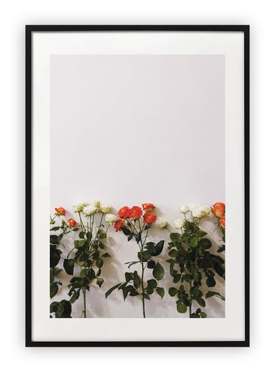 Plakat A4 21x30 cm  Wiosna Kwiaty Rośliny WZORY Printonia