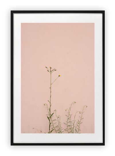 Plakat A4 21x30 cm  Wiosna Rośliny Kwiaty   WZORY Printonia