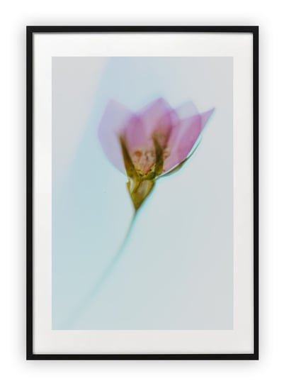 Plakat A4 21x30 cm  Zieleń Rośliny Kwiaty Natura  WZORY Printonia