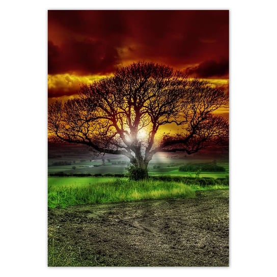 Plakat A4 PION Magiczne drzewo krajobraz ZeSmakiem
