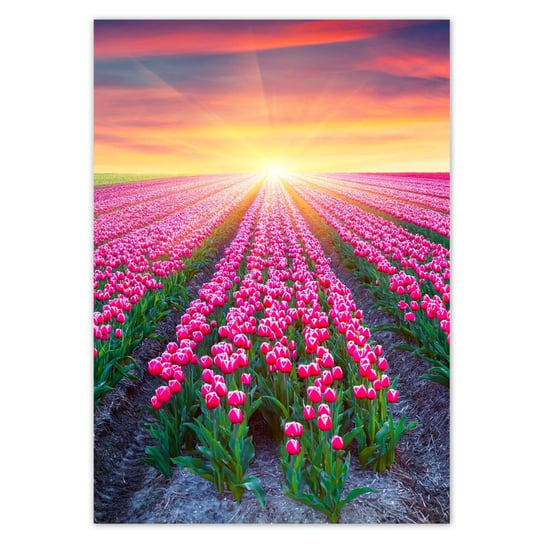 Plakat A4 PION Morze tulipanów Kwiaty ZeSmakiem