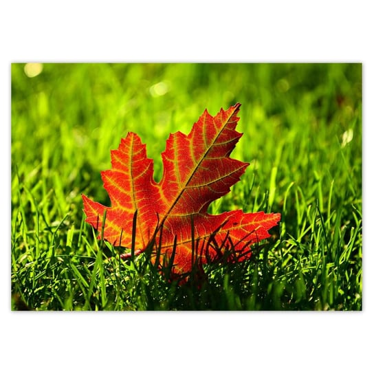 Plakat A4 POZIOM Jesienny liść na trawce ZeSmakiem