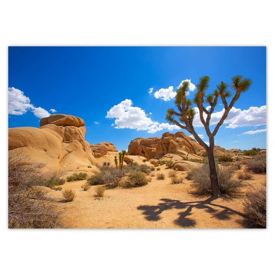 Plakat A4 POZIOM Kaktus na pustyni ZeSmakiem